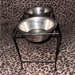 Medium sized dog, food, and water dish with stand